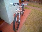 foto de Vendo Zenith Saga scandium 