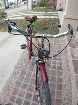 foto de Vendo  Bicicleta AMF NIMBLE ROADMASTER