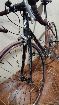  Malvern star rod 28