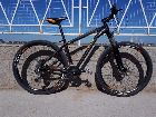  Skinred Phoenix rodado 29