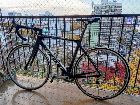  SCOTT FOIL 54 2013