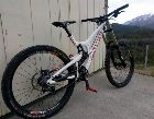  Santa cruz v10