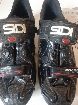  Sidi dragon