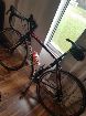  Specialized Allez talle 54 vendo o permuto por mtb