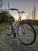  bicicleta paseo saltimbanki
