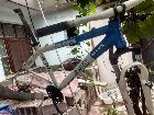  Cuadro r 26 ZSC $6000