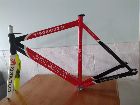 Colner Vigorelli 2