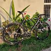  Cannondale Synapse Carbon