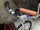  Olmo camino 2020