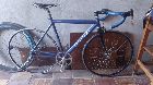  Privitera de pista talle 50