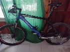 foto de Vendo Orbea Alma Carbon