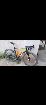  Bmc slr 03