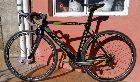  Rutera  carbono grupo de 11