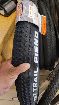 foto de Vendo CST 29x2,25 TrailFiend