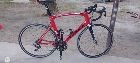 foto de Vendo Ridley Noah talle l