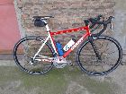 Giant tcr limited