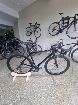  Giant tcr Pro