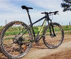 foto de Vendo Colner helicon L