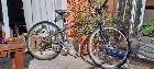 Vendo Kona Cinder cuadro