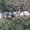 Vendo Trek x-caliber 9 R29