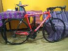 Vendo Colnago Scandium Strada