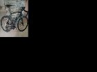 foto de Vendo Giant propel 2025