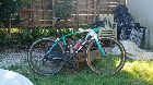 foto de Vendo SPECIALIZED ROUBAIX
