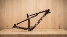 SPECIALIZED EPIC EXPERT CARBONO BRAIN 29